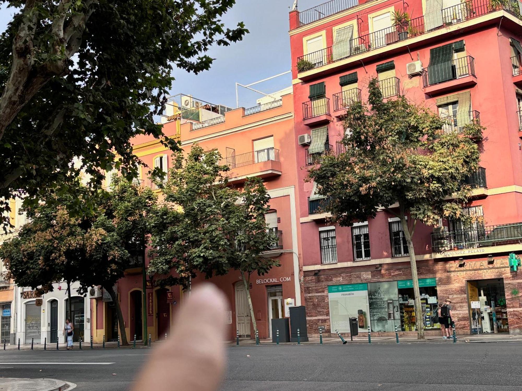 Solete'S House 1A Daire Sevilla Dış mekan fotoğraf